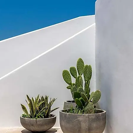 Avra Luxury Mykonos Hotel Tourlos