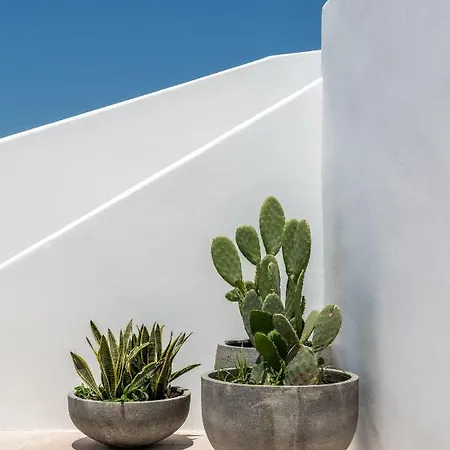 Avra Luxury Mykonos 3*