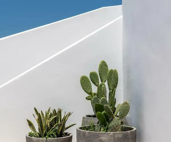 Avra Luxury Suites Mykonos 3*